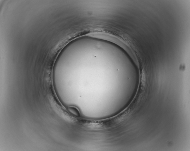 X0000113580449200910091506