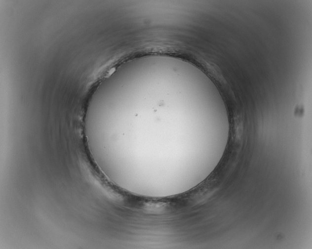 X0000113580450200910091506