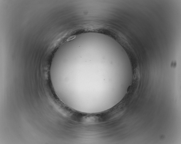 X0000113580452200910091506