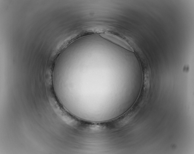 X0000113580453200910091506