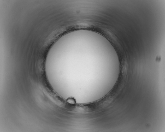 X0000113580455200910091506