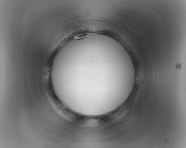 X0000113580456200910091506