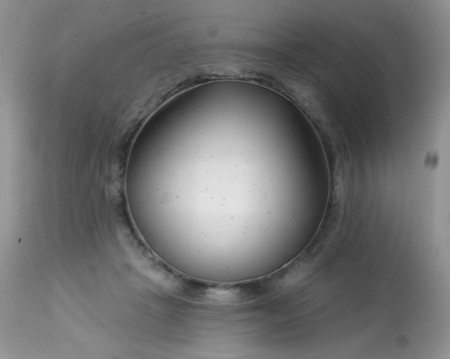 X0000113580457200910091506