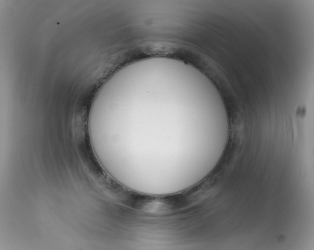 X0000113580460200910091506