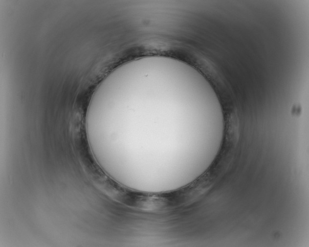 X0000113580463200910091506