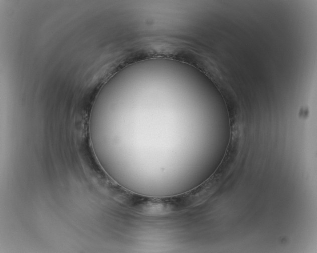 X0000113580464200910091506