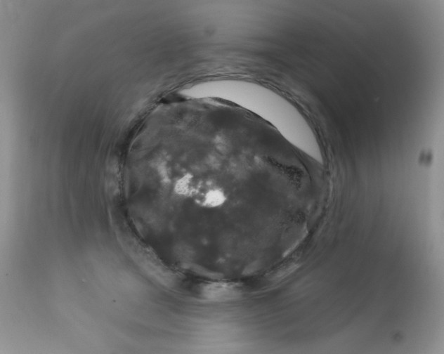 X0000113580465200910091506