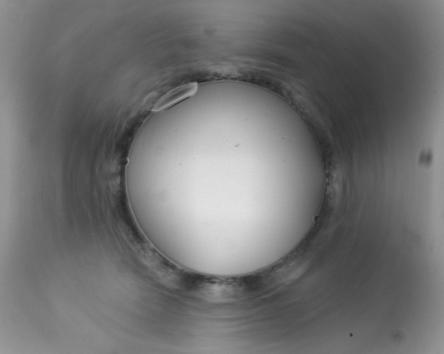 X0000113580466200910091506