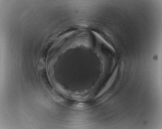 X0000113580467200910091506