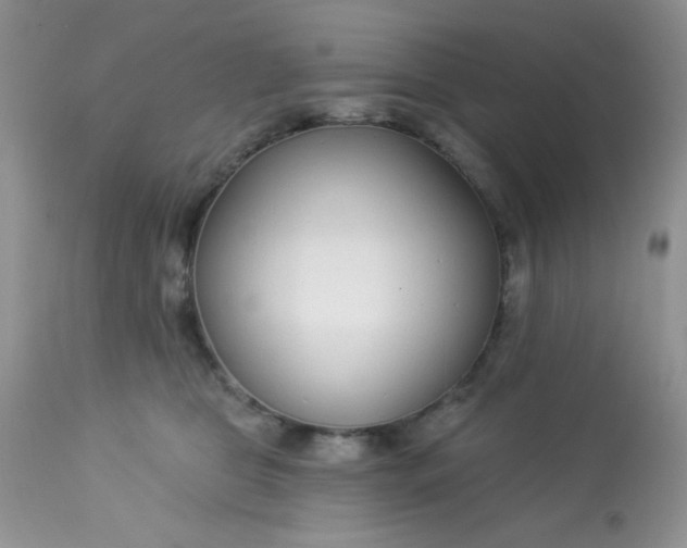 X0000113580469200910091506