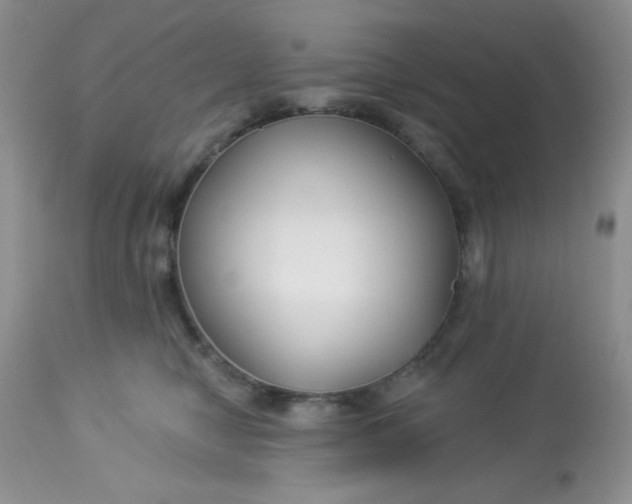 X0000113580470200910091506