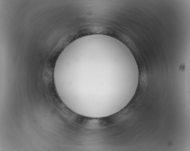 X0000113580473200910091506