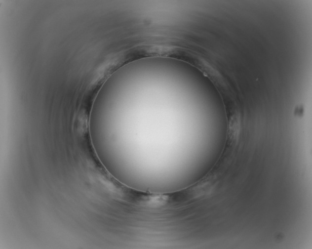 X0000113580474200910091506