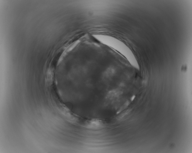 X0000113580475200910091506