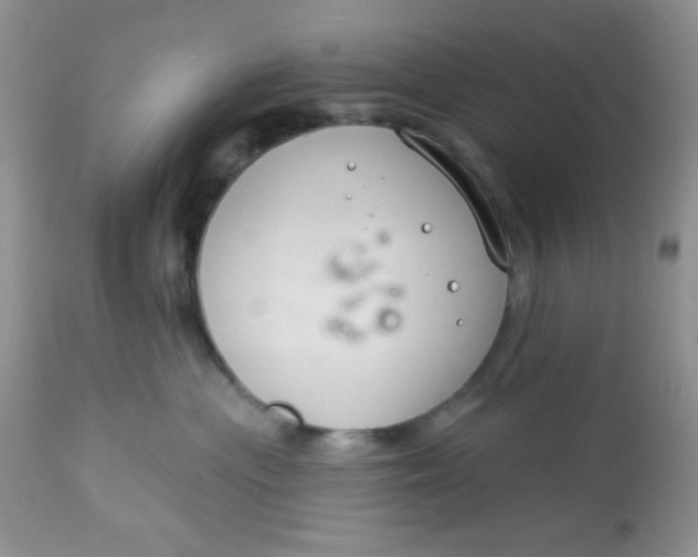 X0000113580477200910091506