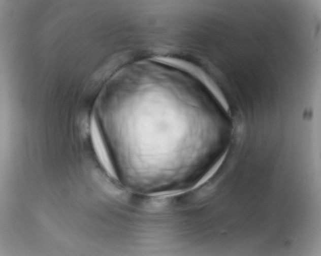 X0000113580479200910091506