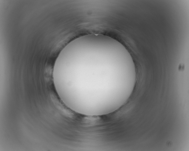 X0000113580480200910091506