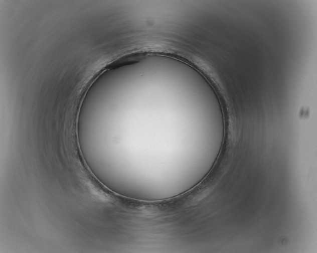 X0000113580481200910091506