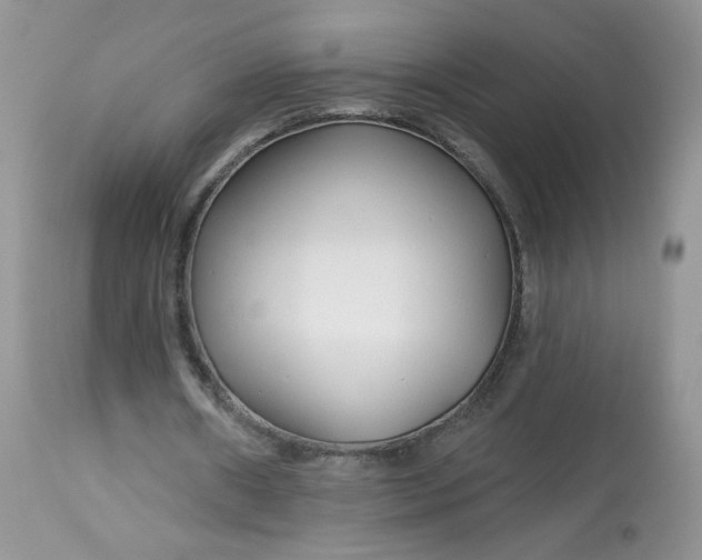 X0000113580482200910091506