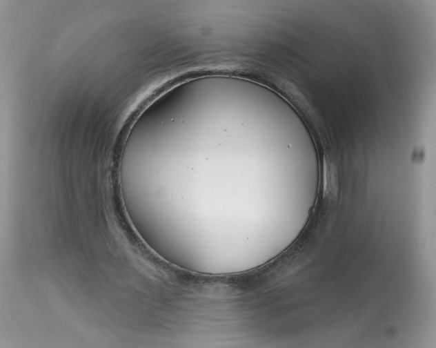 X0000113580483200910091506