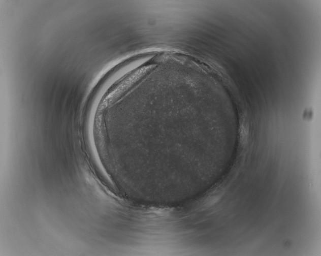 X0000113580484200910091506