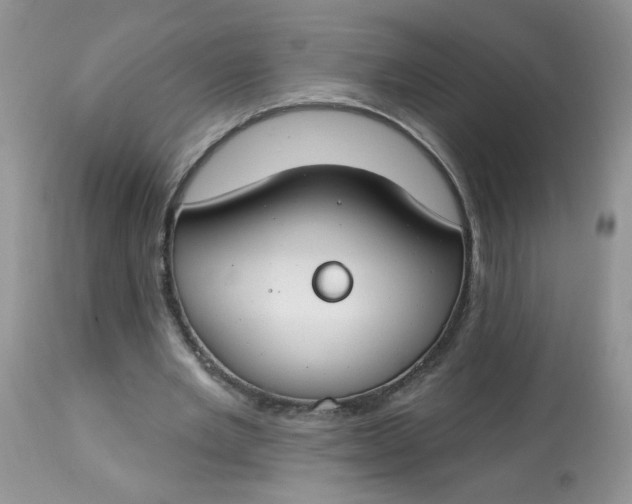 X0000113580485200910091506