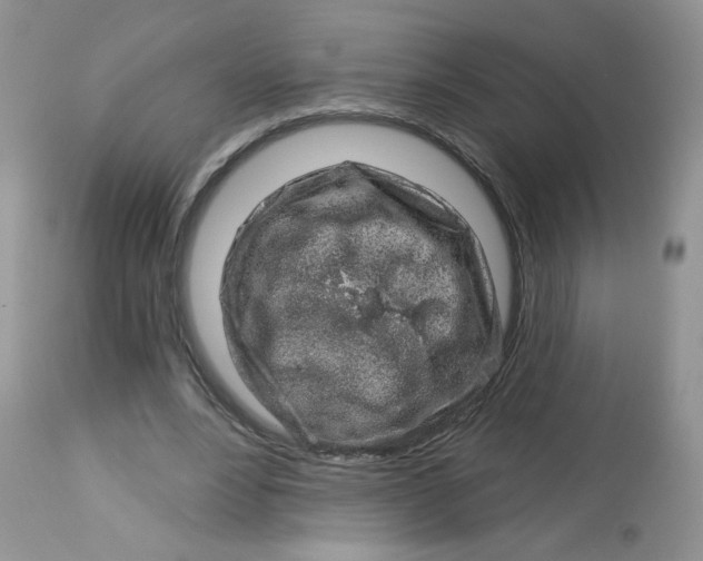 X0000113580488200910091506