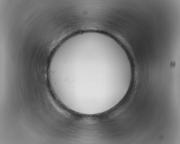 X0000113580489200910091506