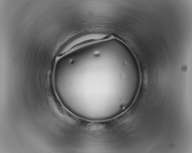 X0000113580491200910091506