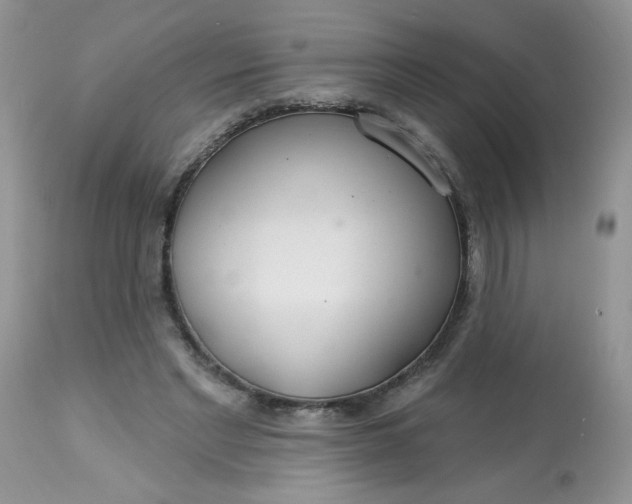 X0000113580493200910091505