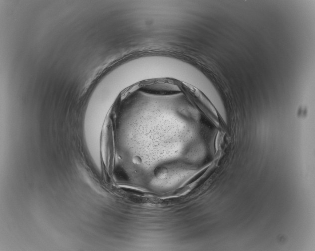 X0000113580496200910091505