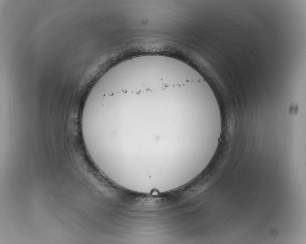 X0000113580497200910091505