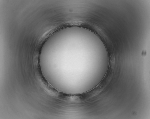 X0000113580501200910091505