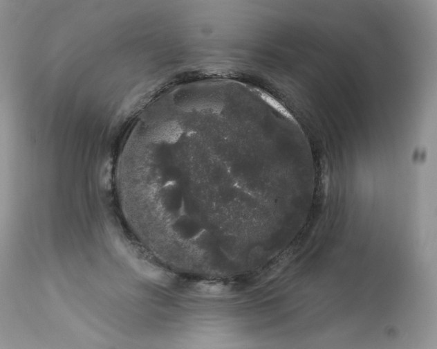 X0000113580502200910091505