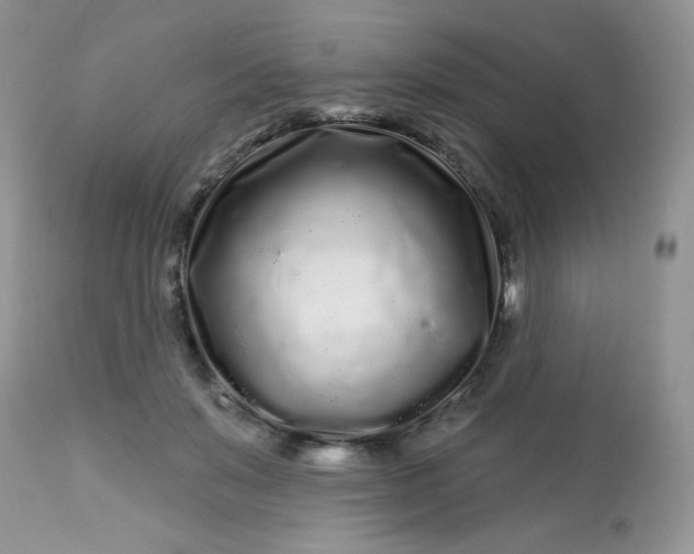 X0000113580503200910091505