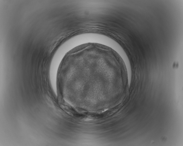 X0000113580504200910091505