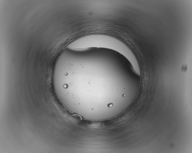 X0000113580505200910091505