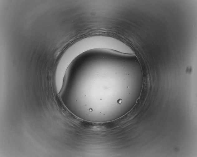 X0000113580508200910091505