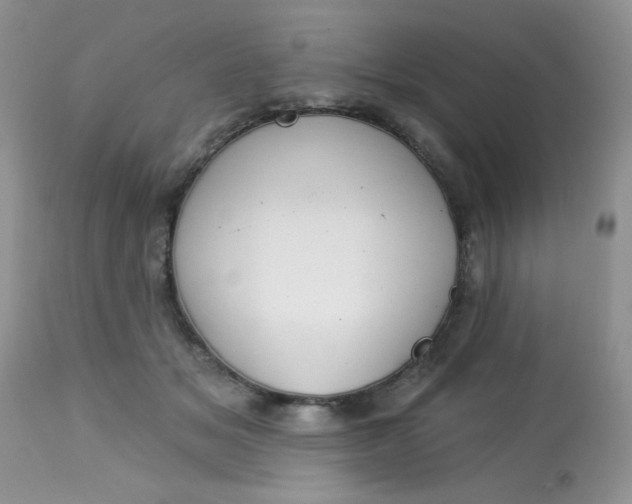 X0000113580509200910091505