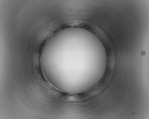 X0000113580510200910091505