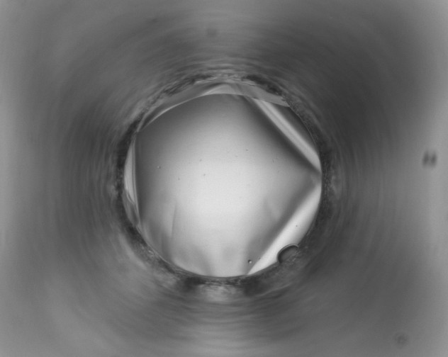 X0000113580512200910091505