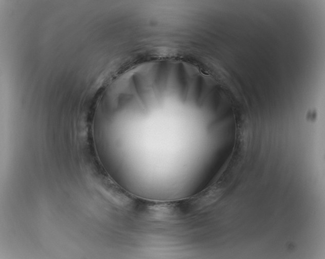 X0000113580516200910091505