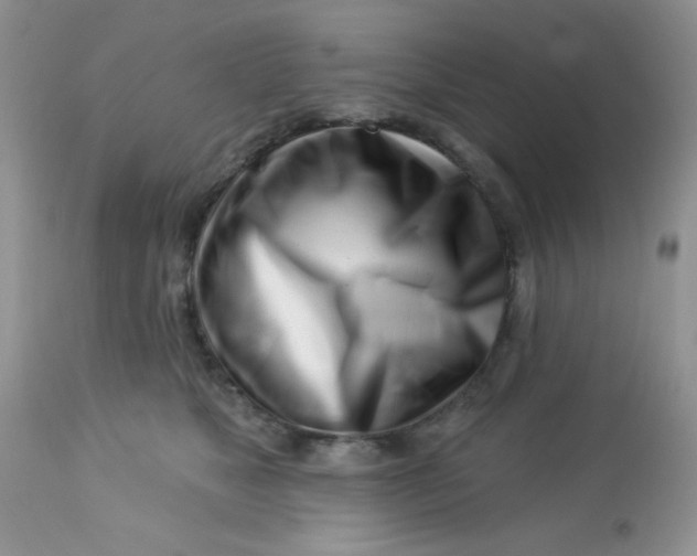 X0000113580517200910091505