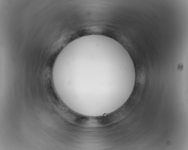 X0000113580518200910091505