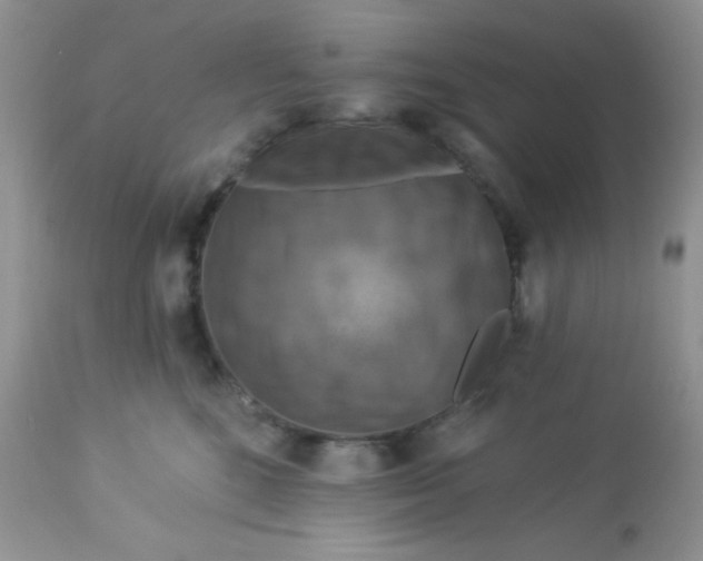 X0000113580520200910091505