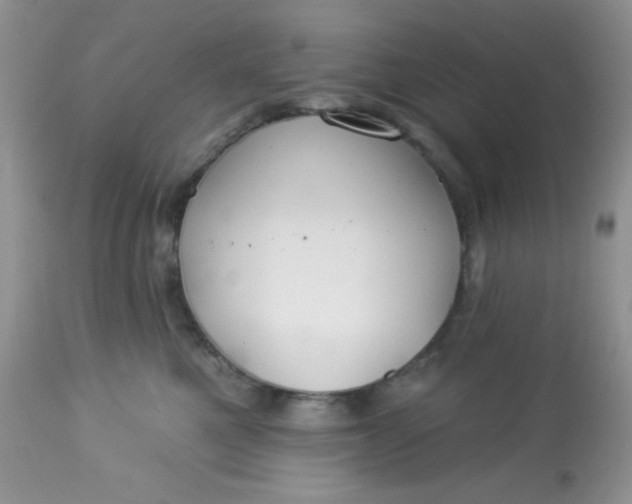 X0000113580521200910091505