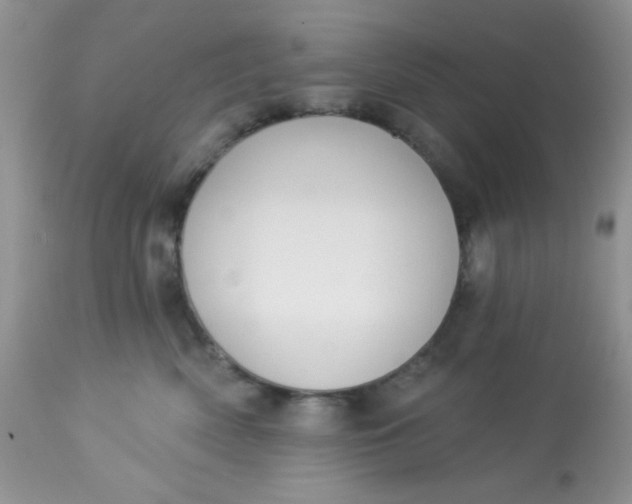 X0000113580522200910091505