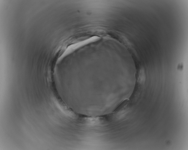 X0000113580524200910091505