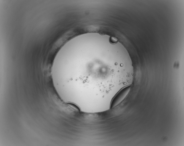 X0000113580525200910091505