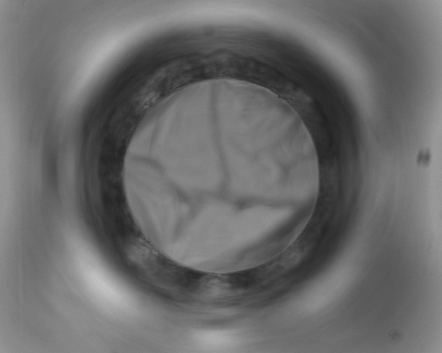 X0000113580526200910091505